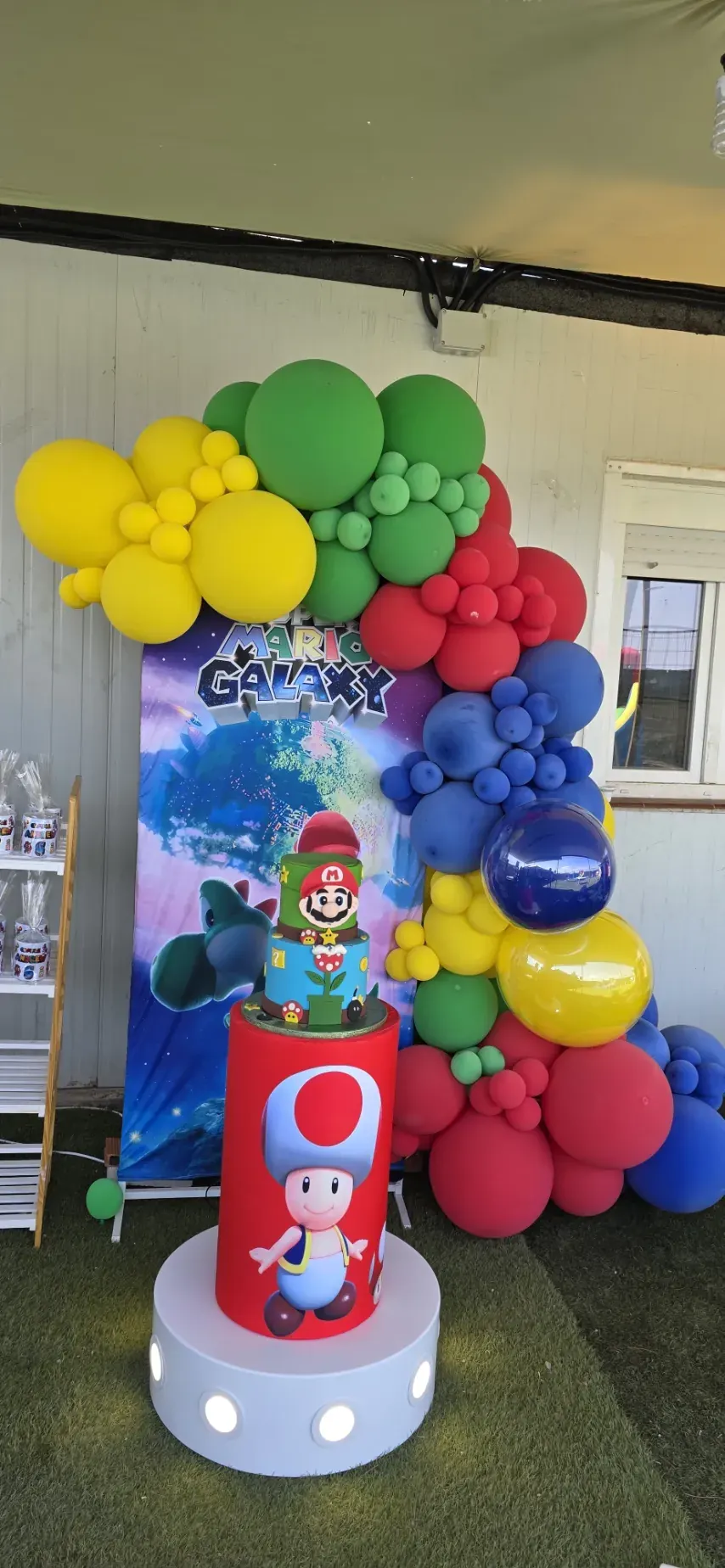 Guirnalda orgánica de globos — alquiler en Madrid